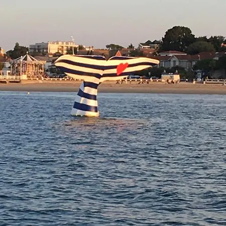 Проживание в семье Orget Saint-Macaire