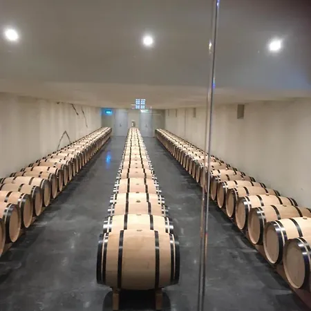 Orget Проживание в семье *