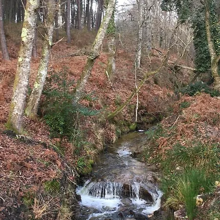 Проживание в семье Orget