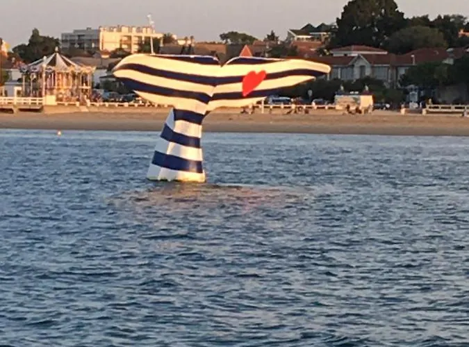 Accommodatie bij particulieren Orget Saint-Macaire